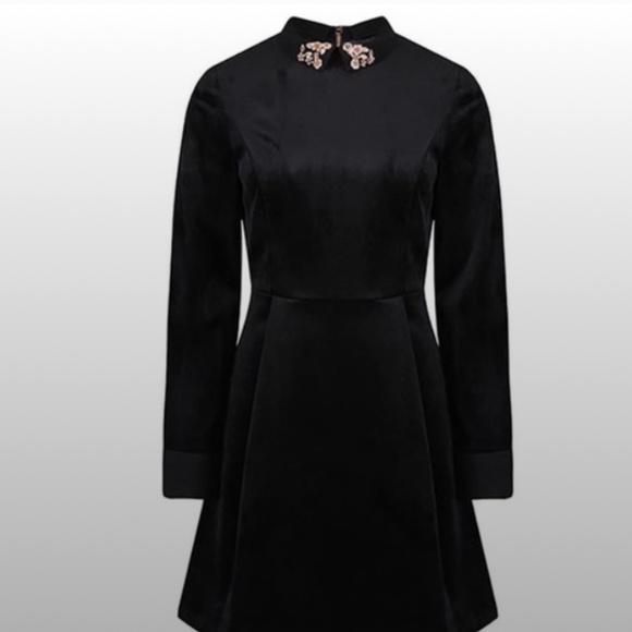 Ted Baker - Alava Embelished Collar Velvet Dress - Size 1(4 US) - Picture 3 of 11